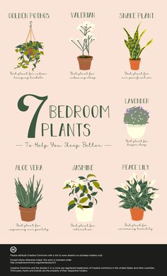 a poster with different types of house plants