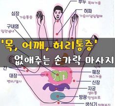 목, 어깨, 허리통증 없애주는 손가락 마사지 세계적인 요가 권위자 중 한명인 일본의 다츠무라 오사무씨는 보다 많은 사람들의 삶의 질을 높이기를 바라는 마음으로 새로운 방식의 손가락 요가를 발명했다고 하는.. Types Of Pollution, Relieve Gas, Natural Teething Remedies, Body Training, Band Workout, Alternative Medicine, Survival Skills, Acupuncture, Fitness Diet