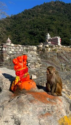 a monkey sitting on top of a large rock next to a red object with orange decorations