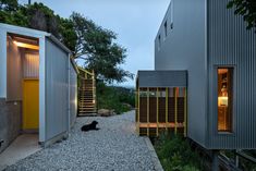 a black cat sitting in the gravel next to a building with yellow doors and stairs