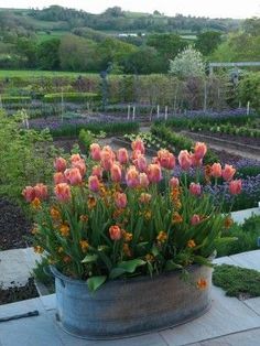 a large pot filled with lots of flowers on top of a cement bench next to a garden