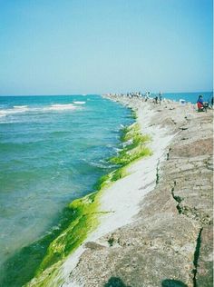 people are standing on the edge of an ocean wall with green algae growing in it