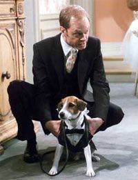 a man kneeling down next to a brown and white dog wearing a suit on his lap