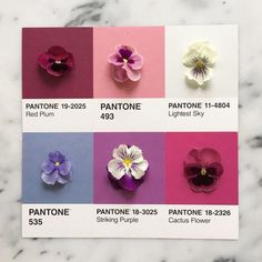 the pantone flowers are arranged in different colors