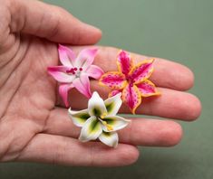 three small flowers are placed in the palm of someone's hand