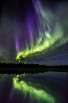 the aurora bore is reflected in water with trees and sky behind it at night time