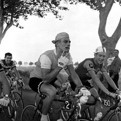 two men riding bikes on a road near a tree