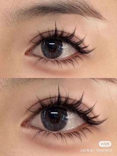 lashes Doll Lashes Extensions, Korean Eye Lash, Volume Eyelashes, Lashes Natural Look, Cute Lashes, Make Up Natural, Lashes Fake Eyelashes