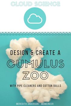 the book cover for design and create a cumulus zoo with pipe cleaners and cotton balls