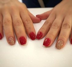 Christmas Nails Dip Powder Red, Dip Nails Red, Christmas Nails Dip Powder, Christmas Nails Dip, Christmas Dip Nails, Nails Red And Gold, Christmas Dip, Nails Dip Powder, Nails Holiday