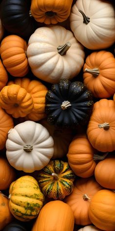 a pile of pumpkins and gourds all grouped together