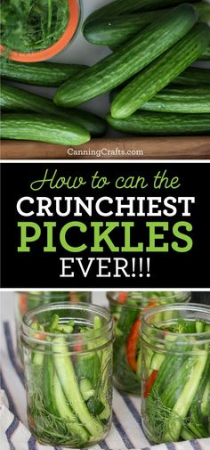 cucumber pickles in jars with the title how to can the crunchest pickles ever?