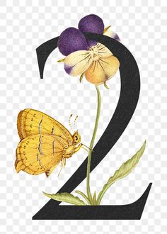 the number two with flowers and a butterfly on it, transparent background png clipart