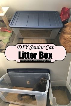 a cat sitting in a litter box next to two plastic containers with the words, diy senior cat litter box