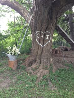 a heart drawn on the bark of a tree in a park with swings and ladders attached to it