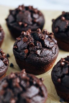 chocolate muffins with chocolate chips on top