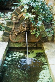 a water fountain in the middle of a garden