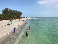 people are walking on the beach near the water and sand, while others walk along the shore