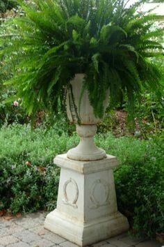 a large potted plant sitting on top of a white pedestal in the middle of a garden