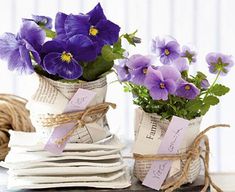 purple pansies are in vases with twine