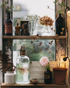 some bottles and flowers on a shelf by a window