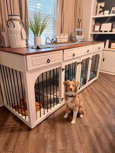 "Elevate your pup's space with our sleek black farmhouse dog crate, doubling as stylish kennel furniture on Amazon. This DIY wooden cabinet table for your dog or puppy adds aesthetic charm to any room! 🐶🖤 #KennelFurniture #DogCrate #FarmhouseStyle #DIYDogCabinet #AestheticDogFurniture #AmazonFinds" xx Crate Aesthetic, Farmhouse Dog Crate, Dog Room Design, Dog Crate Table, Puppy Diy, Puppy Kennel