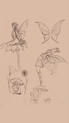 some drawings of different types of plants and animals in the grass with one fairy sitting on top