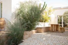 an outdoor patio with wooden benches and plants