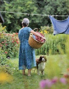 an older woman holding a basket and walking her dog in a garden with clothes drying on a line