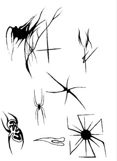 black and white drawing of spider webs on a white background, each with different designs