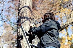 a man climbing up the side of a tree