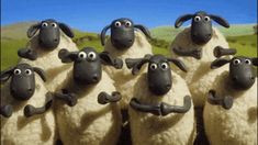 a group of sheep standing next to each other in front of a green field and blue sky