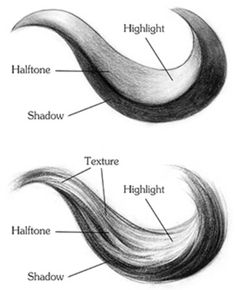 two different types of hair are shown in this diagram