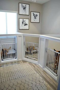 two dogs are sitting in their kennels at the top of the stairs and one dog is laying down on the floor