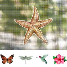 the starfish is sitting on the window sill next to the flowers and butterflies