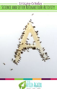 the letter a is made up of tiny bugs on it's side, with text reading science and letter recognition activity