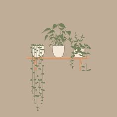 three potted plants are sitting on a shelf