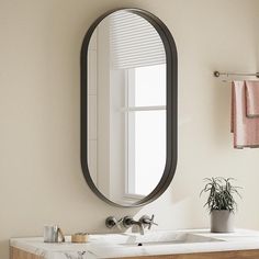 a bathroom sink with a mirror above it and a potted plant on the counter