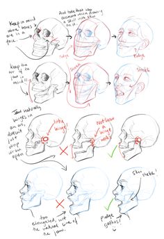 the human head and neck is shown in this drawing lesson, which shows how to draw an