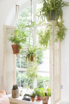 a window sill filled with lots of potted plants