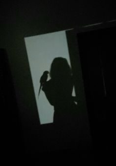 Shadow selfie with bird, shadow picture, aesthetic Parrot Aesthetic, Photoshop Ideas, Wild Eyes, Book Board, + Core + Aesthetic, Online Painting, School Activities