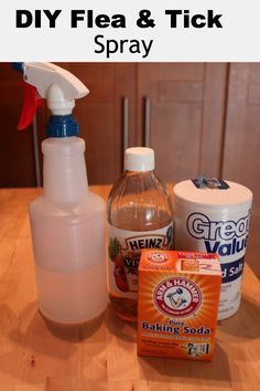 an image of diy flea and tick spray