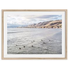 a group of birds floating on top of a body of water next to a beach