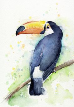 a watercolor painting of a toucan sitting on a branch with a yellow beak