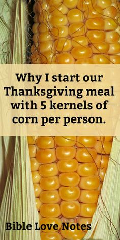 Bible Thanksgiving, Thanksgiving Sunday School Lesson, Thanksgiving Bible Lesson, Thanksgiving Devotions, Thanksgiving Sunday, Corn Thanksgiving, Thanksgiving Lessons, Bible Object Lessons, Childrens Sermons