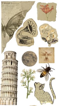 collage of various images including flowers, pictures and an insect on top of a piece of paper