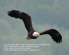 an eagle flying through the air with a bible verse on it's back side