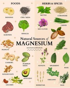 Sources Of Magnesium, Medicinal Herbs Garden, Medical Herbs, Food Health Benefits, Magic Herbs, Natural Healing Remedies, Herbal Healing, Home Health Remedies