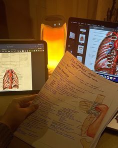 medical study, medicine, studying at a medical university, medical university, anatomy, anatomy notes, aorta, veins, artery медицинские консекты, анатомия, аорта, вены, артерии, медицина, учеба в медицинском, красивые конспекты University Medicine, Medicine University, Anatomy Notes, Study Medicine, Medical Study, Physician Assistant, Medical University, Medical Illustration