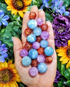 a hand holding several different colored rocks in front of flowers